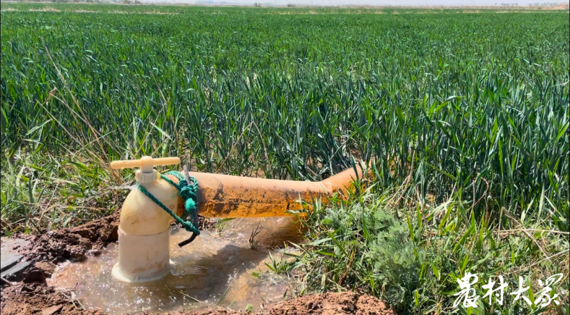                                       
   垦利区把给水栓设在地头，农户接上水管即可灌溉（资料图）。

