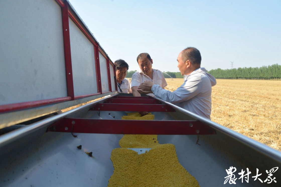 (趙守達 攝)6月3日,在滕州市西崗鎮溫堂村的農田裡,兩臺播種機正在